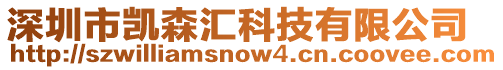 深圳市凱森匯科技有限公司