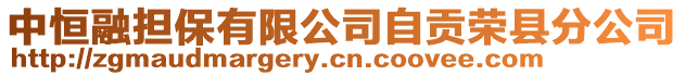 中恒融擔(dān)保有限公司自貢榮縣分公司