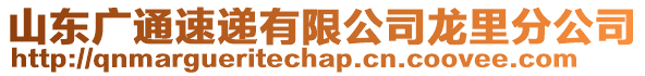 山東廣通速遞有限公司龍里分公司
