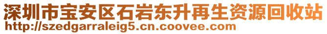 深圳市寶安區(qū)石巖東升再生資源回收站