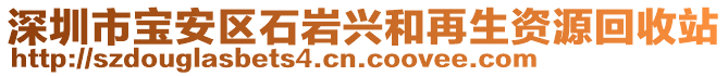 深圳市寶安區(qū)石巖興和再生資源回收站