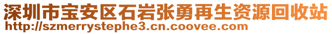 深圳市寶安區(qū)石巖張勇再生資源回收站