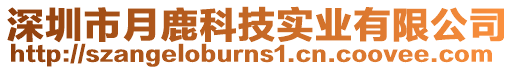 深圳市月鹿科技實業(yè)有限公司