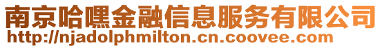 南京哈嘿金融信息服務有限公司