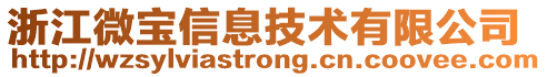 浙江微寶信息技術有限公司