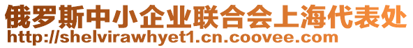 俄羅斯中小企業(yè)聯(lián)合會上海代表處