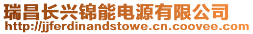 瑞昌長興錦能電源有限公司
