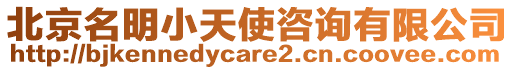 北京名明小天使咨詢有限公司