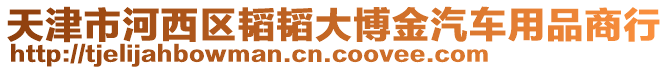 天津市河西區(qū)韜韜大博金汽車(chē)用品商行