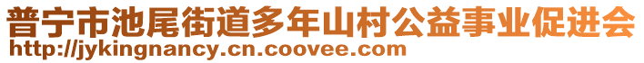 普寧市池尾街道多年山村公益事業(yè)促進會