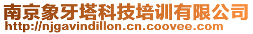 南京象牙塔科技培訓有限公司