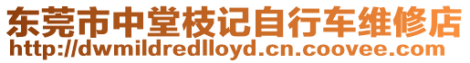 東莞市中堂枝記自行車維修店