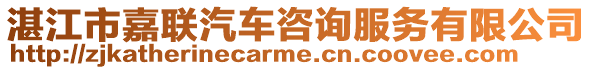 湛江市嘉聯(lián)汽車咨詢服務有限公司