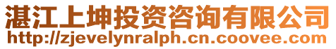 湛江上坤投資咨詢有限公司