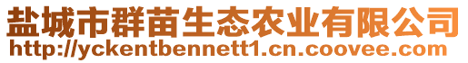 鹽城市群苗生態(tài)農(nóng)業(yè)有限公司