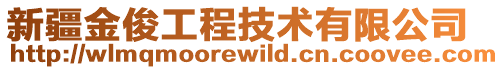 新疆金俊工程技術有限公司