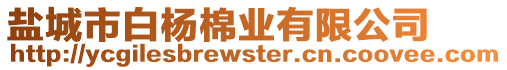 鹽城市白楊棉業(yè)有限公司