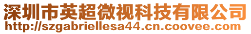 深圳市英超微視科技有限公司