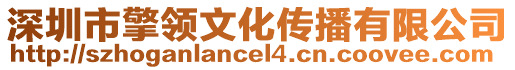 深圳市擎領(lǐng)文化傳播有限公司