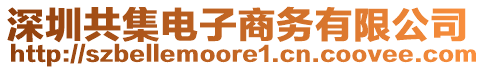 深圳共集電子商務(wù)有限公司