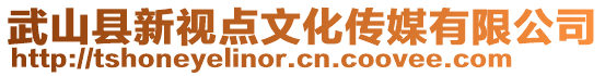 武山縣新視點文化傳媒有限公司