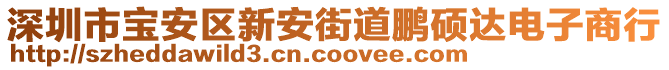 深圳市寶安區(qū)新安街道鵬碩達(dá)電子商行