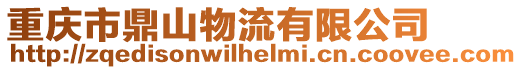 重慶市鼎山物流有限公司