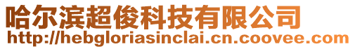 哈爾濱超俊科技有限公司