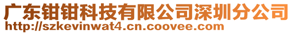 廣東鉗鉗科技有限公司深圳分公司