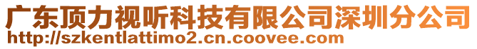 廣東頂力視聽科技有限公司深圳分公司