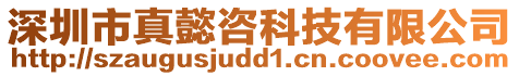 深圳市真懿咨科技有限公司