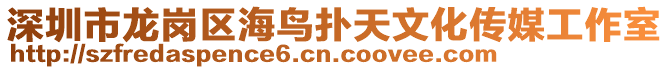 深圳市龍崗區(qū)海鳥撲天文化傳媒工作室