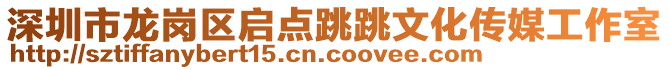 深圳市龍崗區啟點跳跳文化傳媒工作室