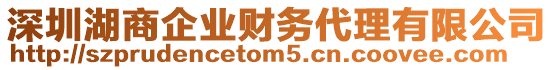 深圳湖商企業(yè)財(cái)務(wù)代理有限公司