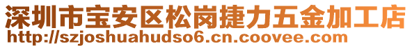 深圳市寶安區松崗捷力五金加工店
