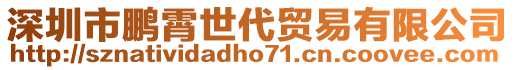 深圳市鵬霄世代貿(mào)易有限公司