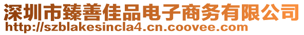 深圳市臻善佳品電子商務(wù)有限公司