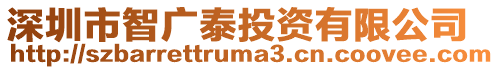 深圳市智廣泰投資有限公司