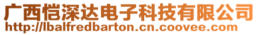 廣西愷深達電子科技有限公司