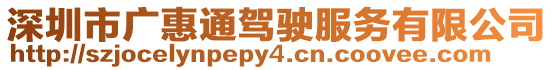 深圳市廣惠通駕駛服務有限公司