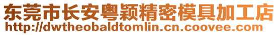 東莞市長安粵穎精密模具加工店