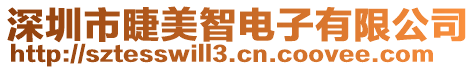 深圳市睫美智電子有限公司