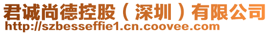 君誠尚德控股（深圳）有限公司