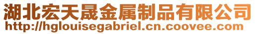 湖北宏天晟金屬制品有限公司