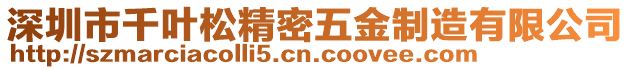 深圳市千葉松精密五金制造有限公司
