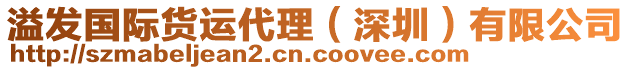 溢發國際貨運代理（深圳）有限公司