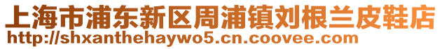 上海市浦東新區(qū)周浦鎮(zhèn)劉根蘭皮鞋店