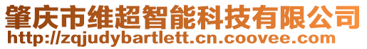 肇慶市維超智能科技有限公司