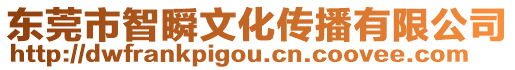 東莞市智瞬文化傳播有限公司