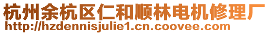 杭州余杭區(qū)仁和順林電機修理廠